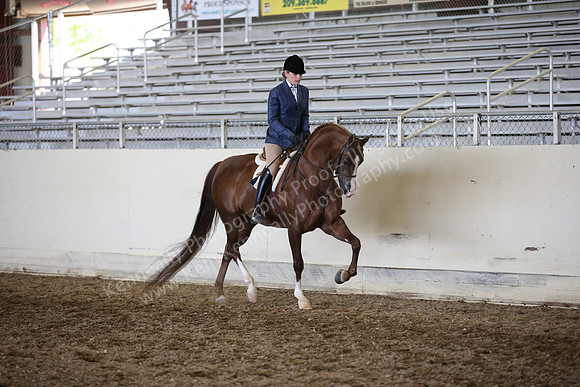 AHANC_Show18_ThursPM_894