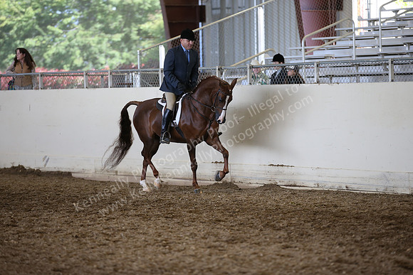 AHANC_Show18_ThursPM_895