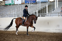 AHANC_Show18_ThursPM_898