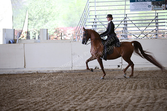 AHANC_Show18_ThursPM_904
