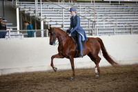 AHANC_Show18_ThursPM_906