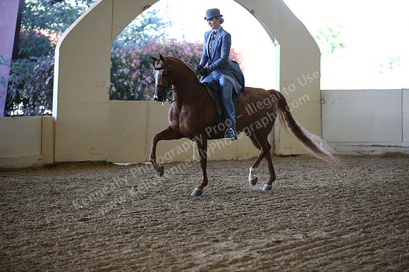 AHANC_Show18_ThursPM_903