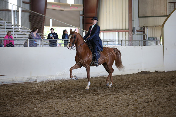 AHANC_Show18_ThursPM_908