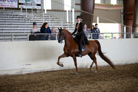 AHANC_Show18_ThursPM_910