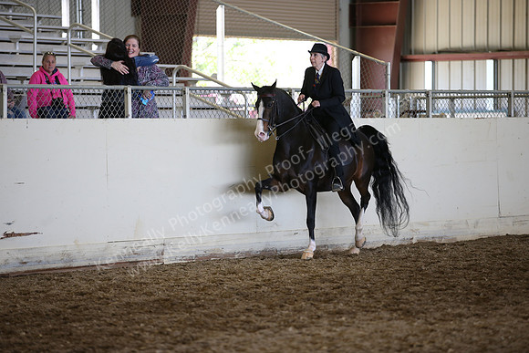 AHANC_Show18_ThursPM_911