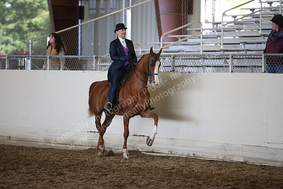 AHANC_Show18_ThursPM_919