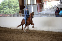 AHANC_Show18_ThursPM_920