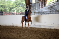 AHANC_Show18_ThursPM_922
