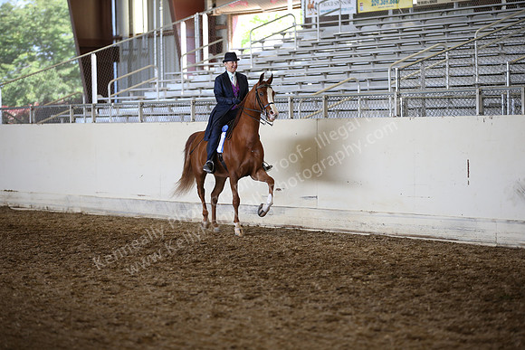AHANC_Show18_ThursPM_923