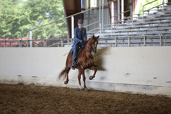 AHANC_Show18_ThursPM_932