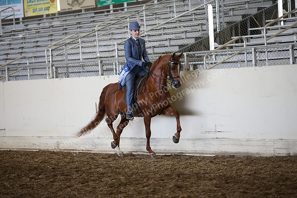 AHANC_Show18_ThursPM_933
