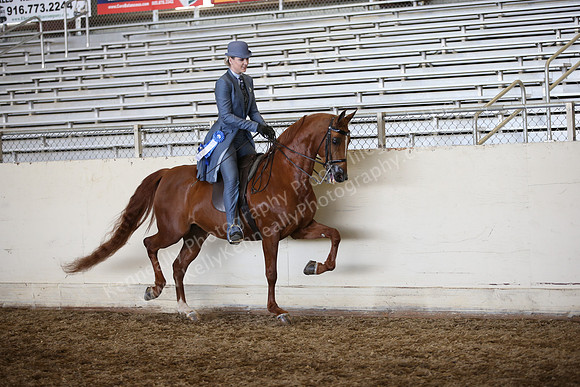 AHANC_Show18_ThursPM_935