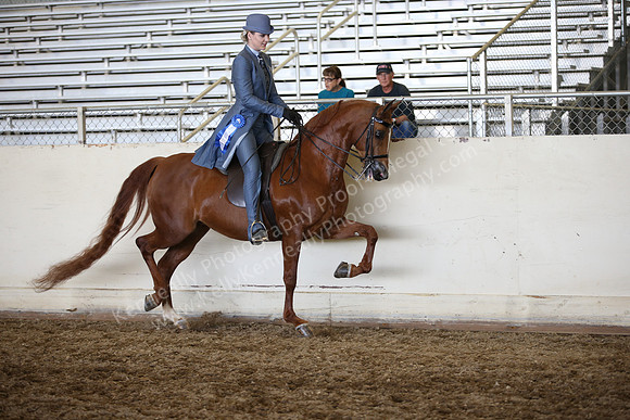 AHANC_Show18_ThursPM_936