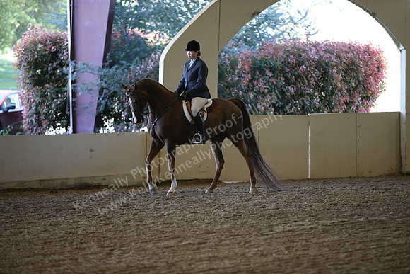 AHANC_Show18_ThursPM_938