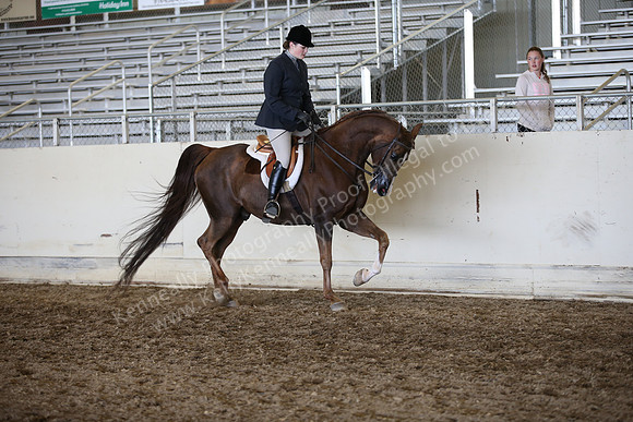AHANC_Show18_ThursPM_942