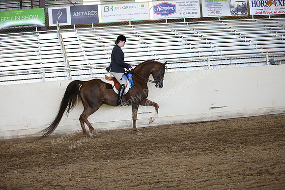 AHANC_Show18_ThursPM_949