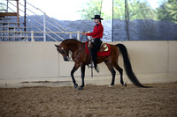 Class 39 Arabian Wester Pl Open