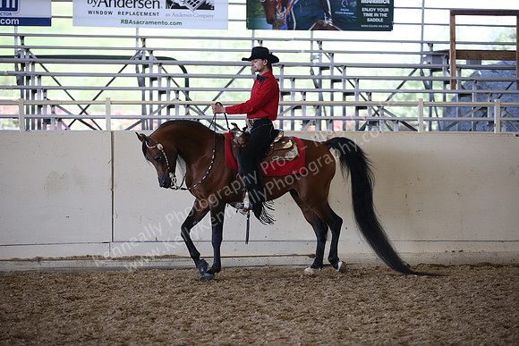 AHANC_Show18_ThursPM_952