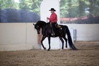 AHANC_Show18_ThursPM_953