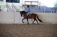 Class 40 HA/AA Hunter Pl JTR Select