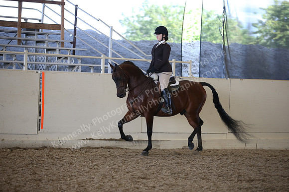 AHANC_Show18_ThursPM_982