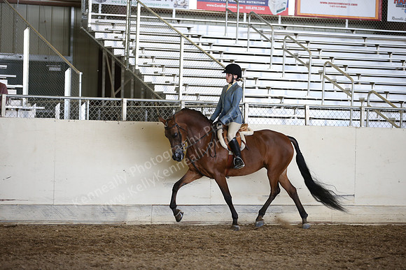 AHANC_Show18_ThursPM_988