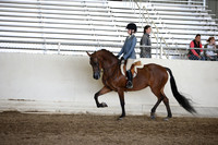 AHANC_Show18_ThursPM_990