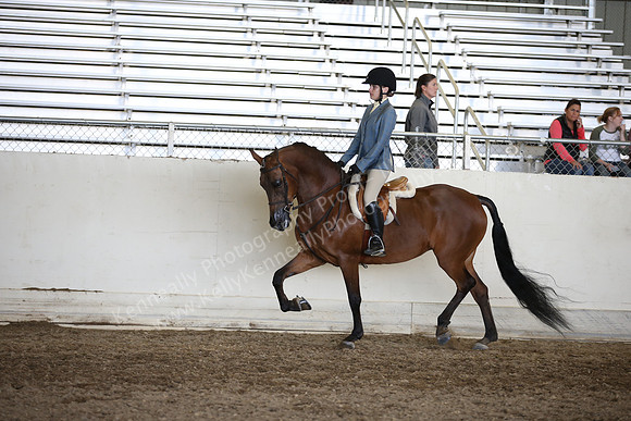 AHANC_Show18_ThursPM_990