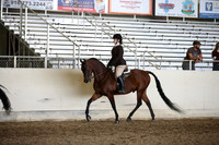 AHANC_Show18_ThursPM_993