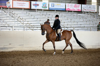 AHANC_Show18_ThursPM_995