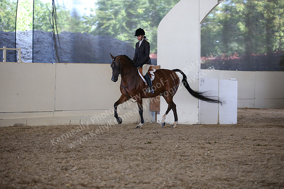 AHANC_Show18_ThursPM_996