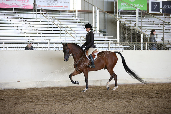AHANC_Show18_ThursPM_1002