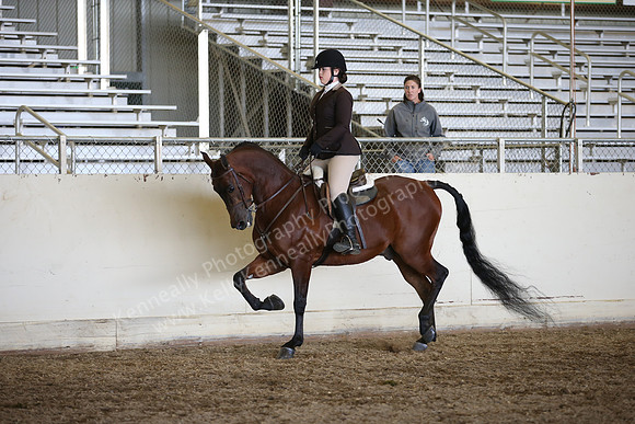 AHANC_Show18_ThursPM_1006