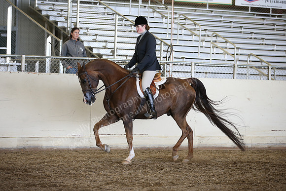 AHANC_Show18_ThursPM_1008