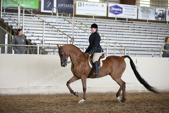 AHANC_Show18_ThursPM_1011