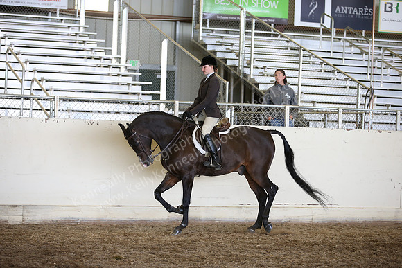 AHANC_Show18_ThursPM_1015
