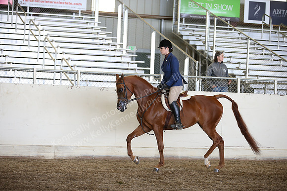 AHANC_Show18_ThursPM_1017
