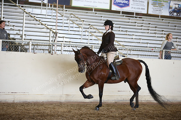 AHANC_Show18_ThursPM_1020