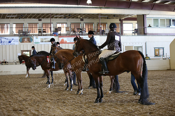 AHANC_Show18_ThursPM_1027