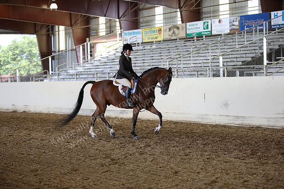 AHANC_Show18_ThursPM_1028