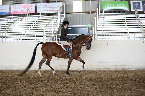AHANC_Show18_ThursPM_1032