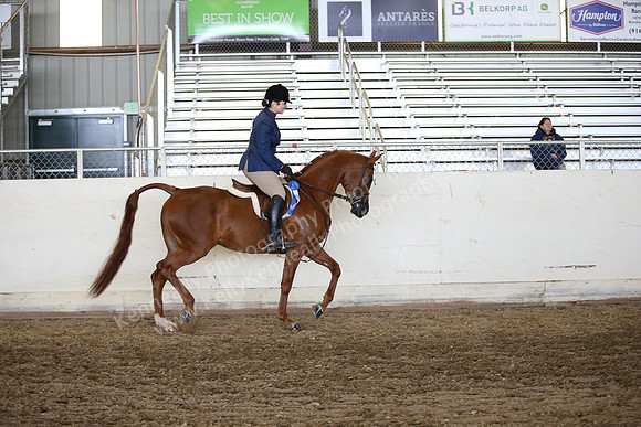 AHANC_Show18_ThursPM_1034