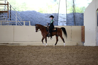 Class 42 Arabian Western Pleasure Walk/Jog JTR