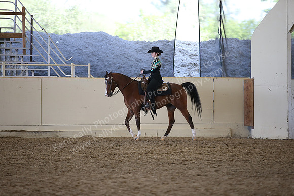 AHANC_Show18_ThursPM_1036