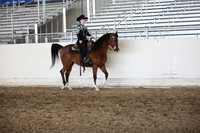 AHANC_Show18_ThursPM_1042