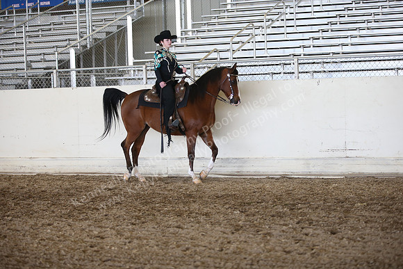 AHANC_Show18_ThursPM_1042