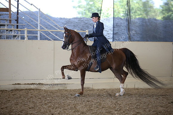 AHANC_Show18_ThursPM_1048