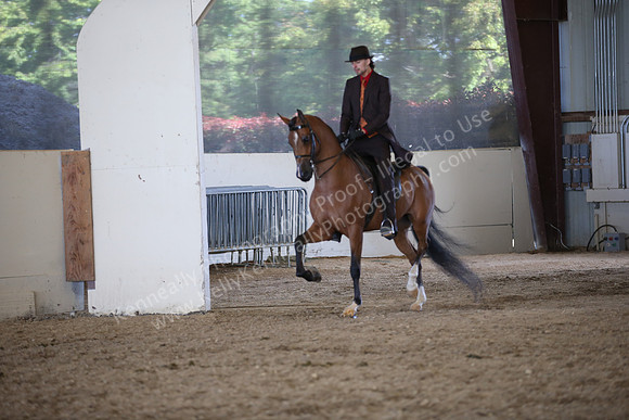 AHANC_Show18_ThursPM_1050