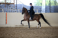 AHANC_Show18_ThursPM_1049