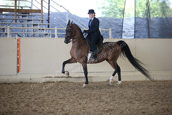 AHANC_Show18_ThursPM_1049